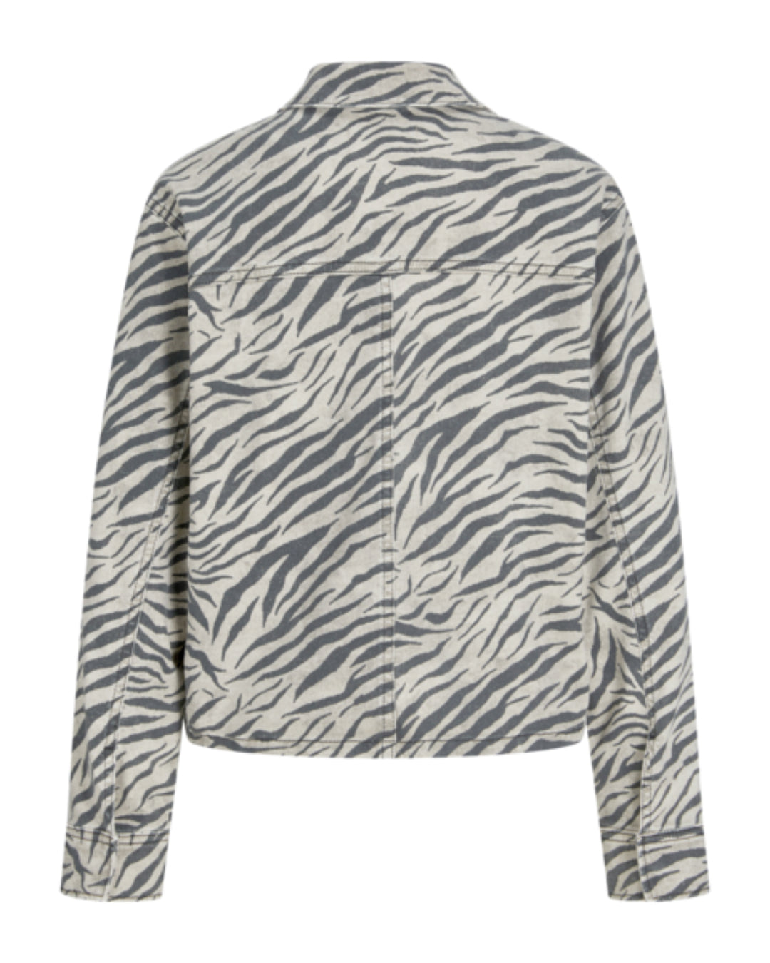 sarah-jakke-zebra