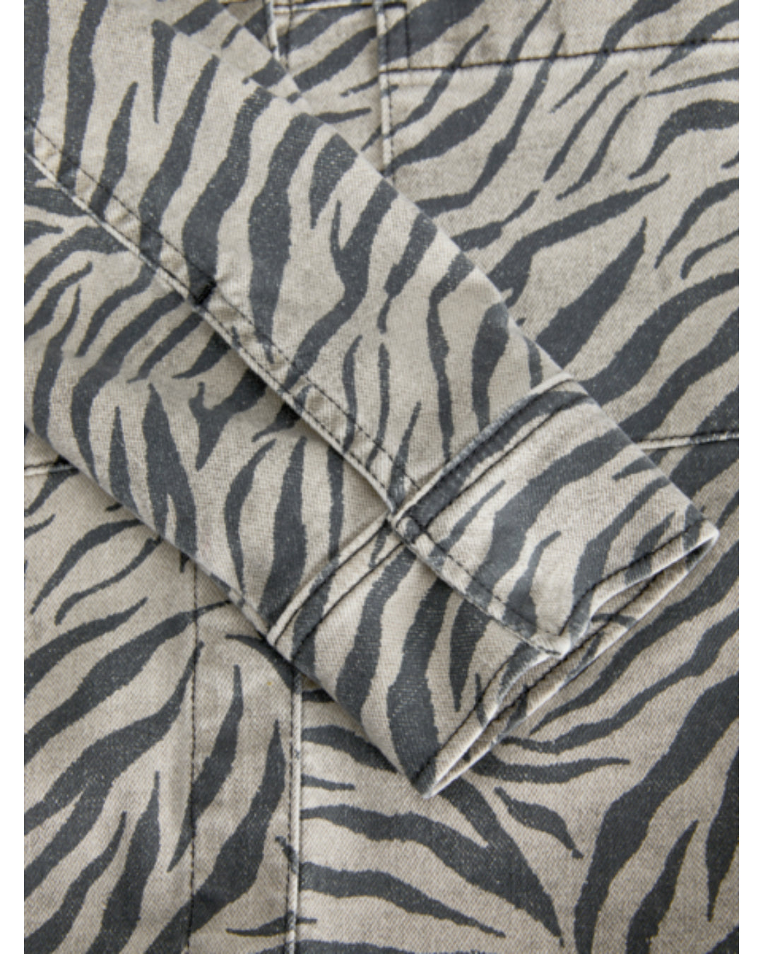 sarah-jakke-zebra