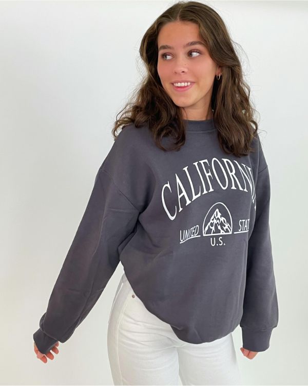 CALIFORNIA US sweatshirt, grå
